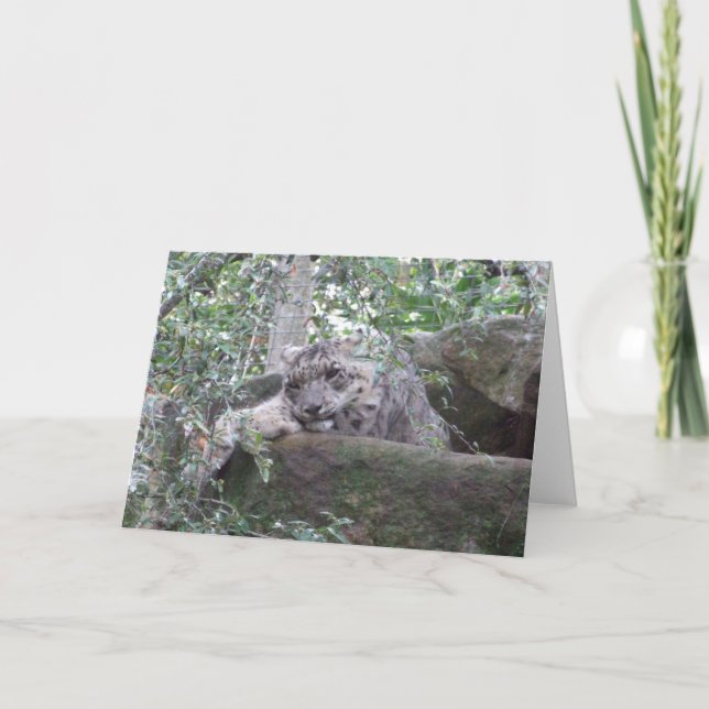Kort för hälsning för snöLeopard (Framsida)