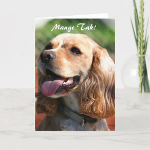 Kort för hälsning för spaniel för cockerspaniel