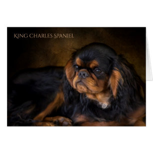 Kort för hälsning för Spaniel för kung Charles