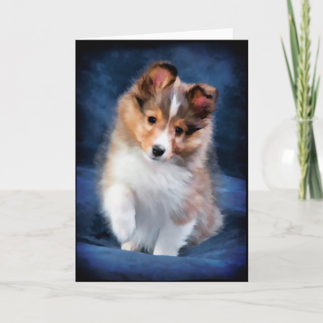 Kort för hälsning för valp för Shetland Sheepdog (Framsida)