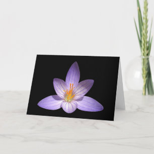 Kort för hälsning för Zenblomma tomt