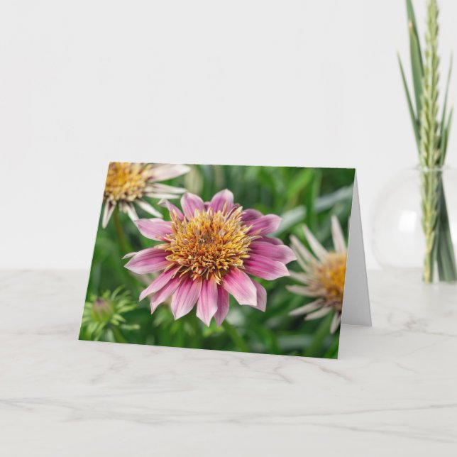 Kort för hälsning - Garden Beauty i Portsmouth (Framsida)