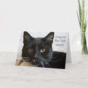 Kort för hälsning: Gorgligt katt