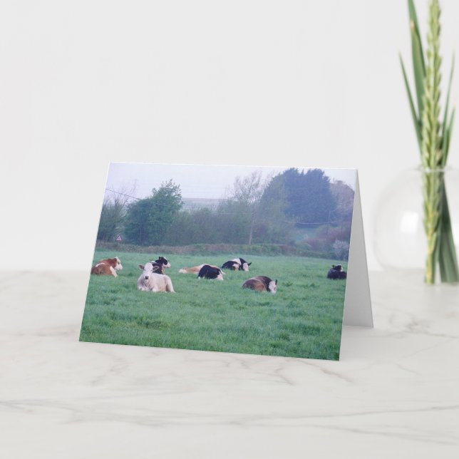 Kort för hälsning - Kor i Färg (Framsida)