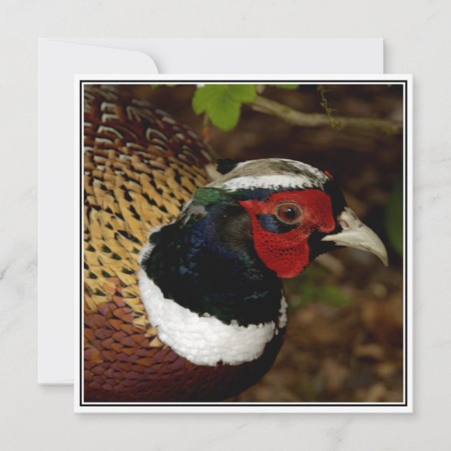 Kort för hälsning med fasadhuvud bild (Framsida)