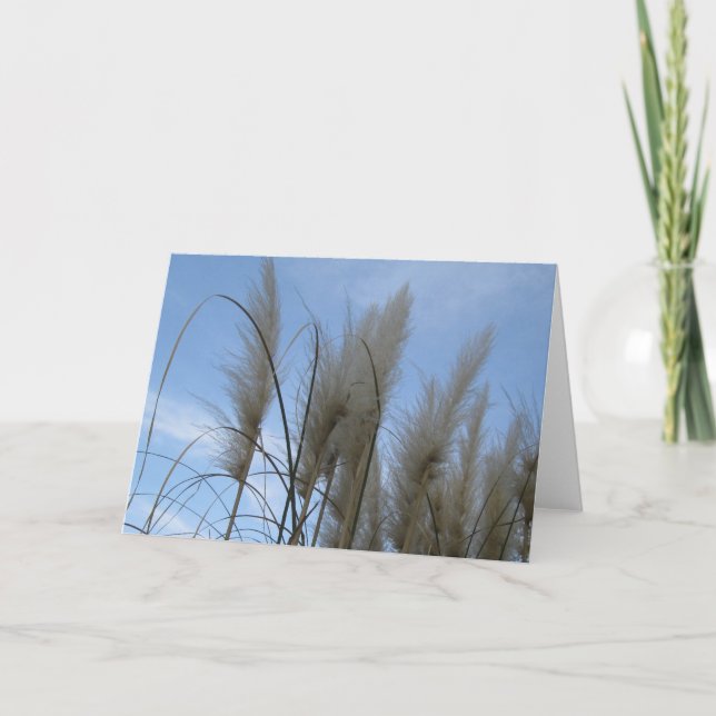 Kort för hälsning - Pampas Grass (Framsida)