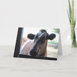 Kort för hälsning: Pengar Del