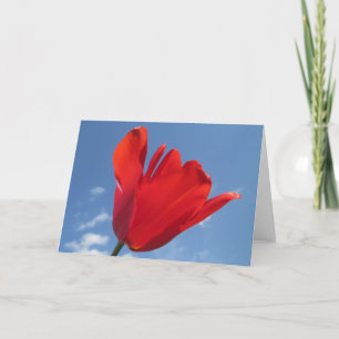 Kort för hälsning - Röd Tulip Blå himmel