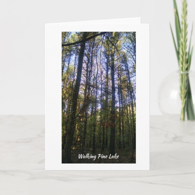 Kort för hälsning - sommarpromenad på Gräs Sjö (Framsida)