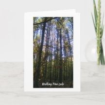 Kort för hälsning - sommarpromenad på Gräs Sjö