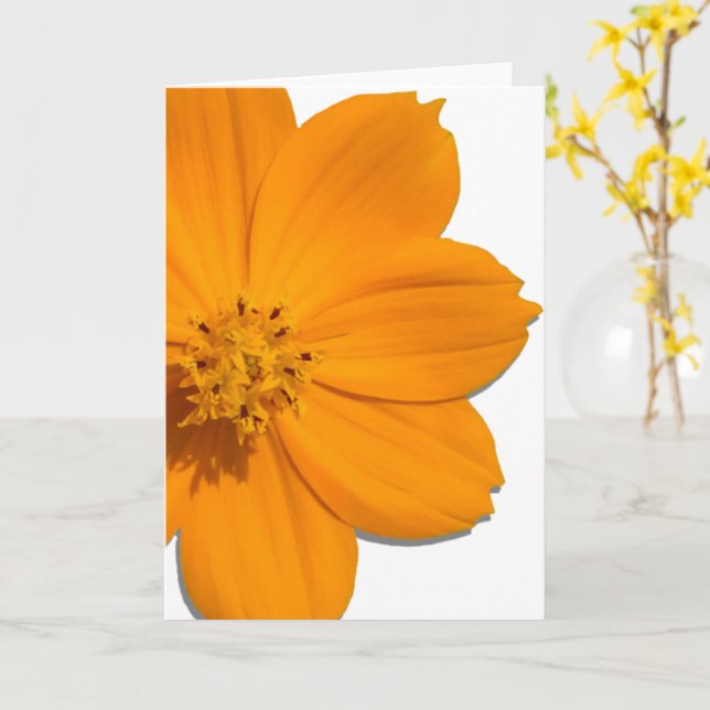 Kort för hälsning - Tillfällen - Orange Cosmos (Gul blomma)