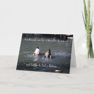 Kort för hälsning - Vänskap Humor