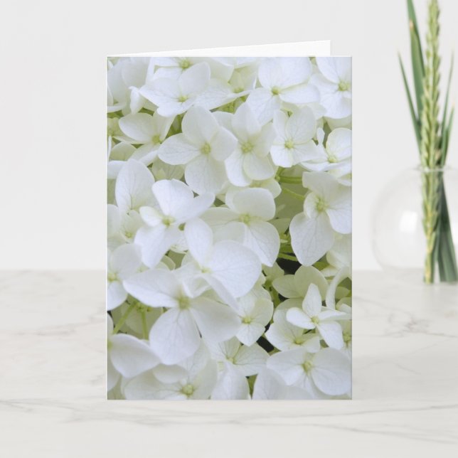 Kort för hälsning - vitt Hydrangea (Framsida)
