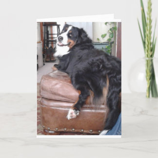 Kort för hälsning, vitt standardkuvert ingår