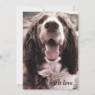 Kort för hälsningar för Springerspaniel