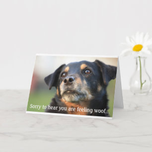 Kort för häpnadsväckande hälsning snart i Hund