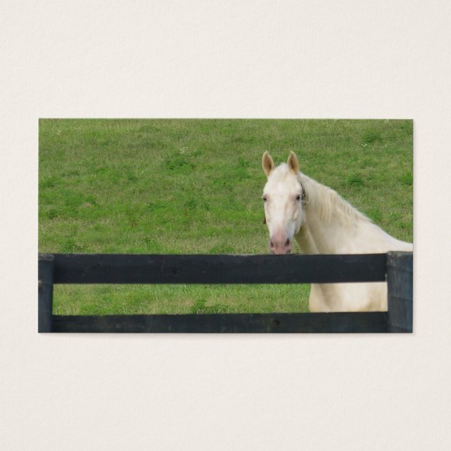 Kort för hästbussar (Framsidan)