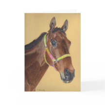 Kort för hästhälsning