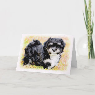 Kort för Havanese valphälsning