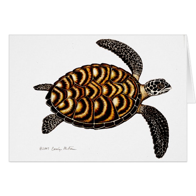 Kort för Hawksbill havssköldpadda (Framsidan Horizontal)