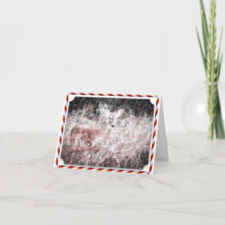 Kort för helgdag för candy canejulhjort