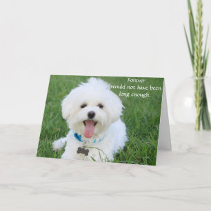 Kort för hundsympati för bortgång med foto