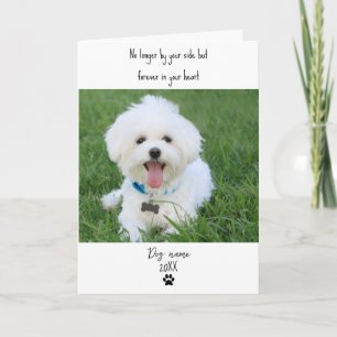 Kort för hundsympati för bortgång med foto