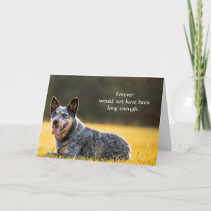 Kort för hundsympati för bortgång med foto