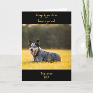 Kort för hundsympati för bortgång med foto