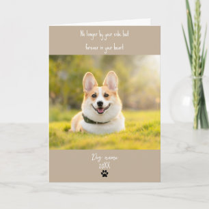 Kort för hundsympati för bortgång med foto