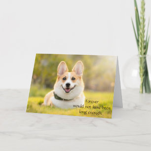 Kort för hundsympati för bortgång med foto
