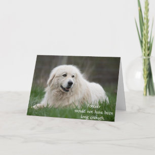 Kort för hundsympati vid förlust med foto