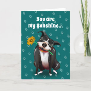 Kort för hundvalentinhälsningen   är du mitt