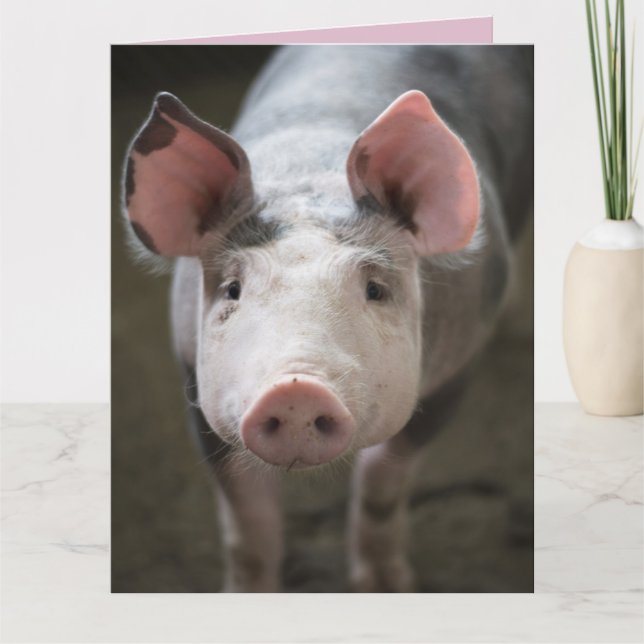 KORT FÖR HYGG OCH KISS GRIS (Framsida)