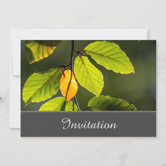 Kort för inbjudan att ringa in med färgstark lövni (Framsida)