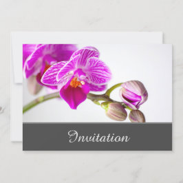 Kort för inbjudan att ringa med Orchid