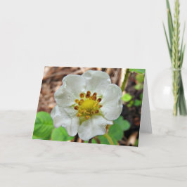 Kort för jordgubbeblommahälsning, tom insida