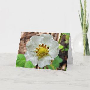 Kort för jordgubbeblommahälsning, tom insida