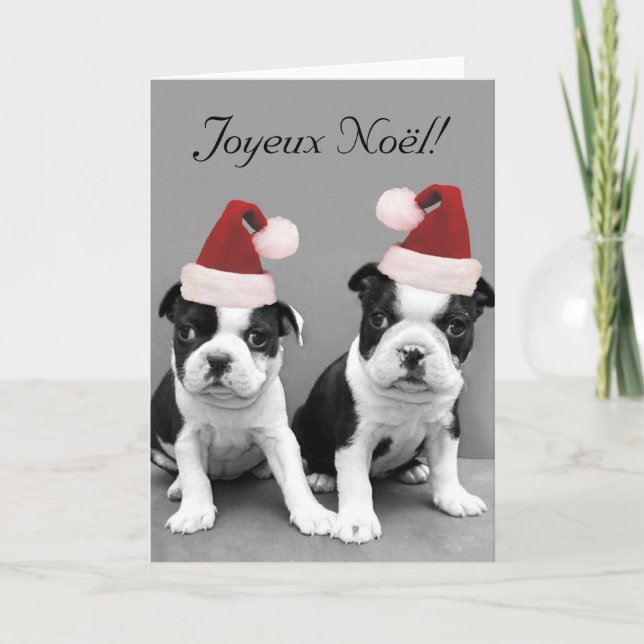 Kort för Joyeux Noël Boston Terriershälsning (Framsida)