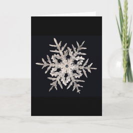 Kort för julafton för SnowflakeBentley snille