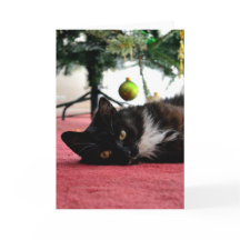 Kort för julhälsning