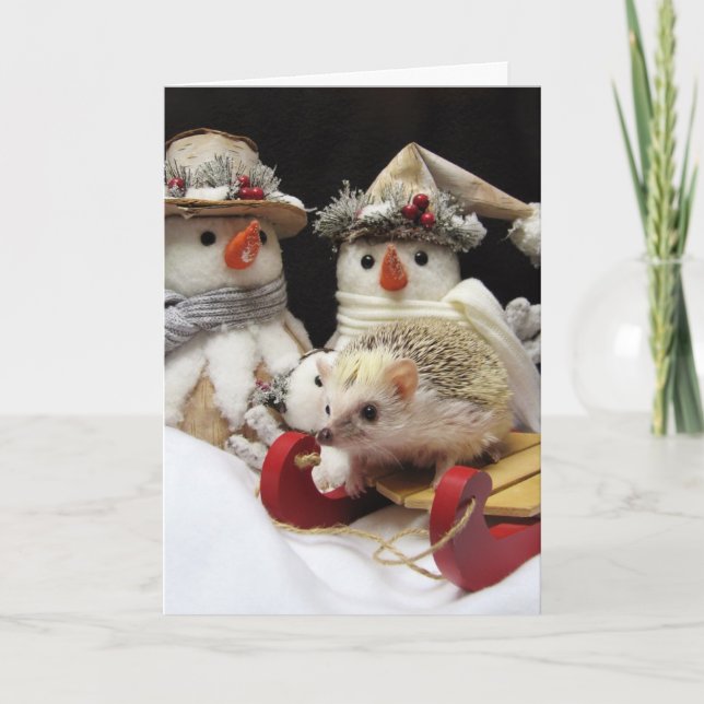 Kort för juligelkottsäsong (Framsida)