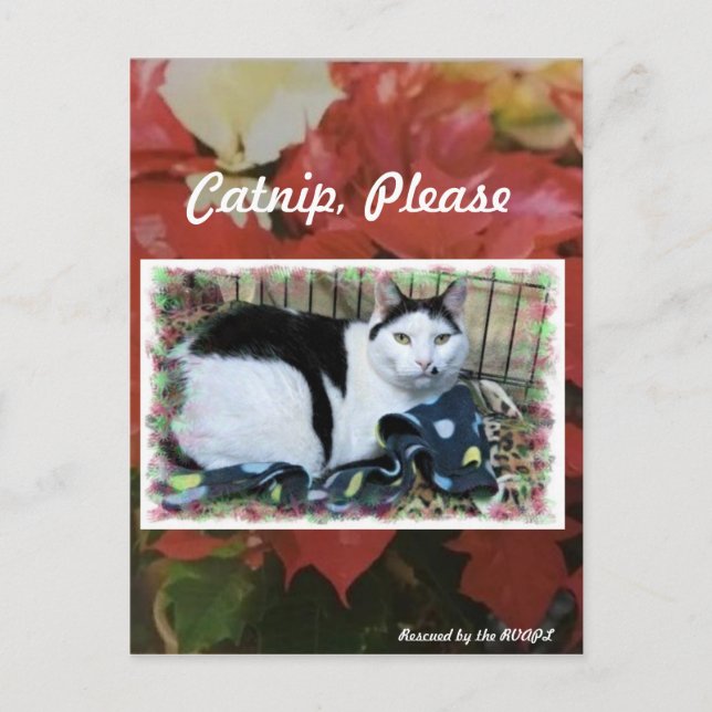 Kort för julklapp (Framsida)