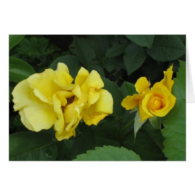 kort för karpediem (Framsidan Horizontal)