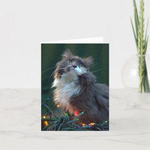 Kort för katt för Meowy julhelgdag