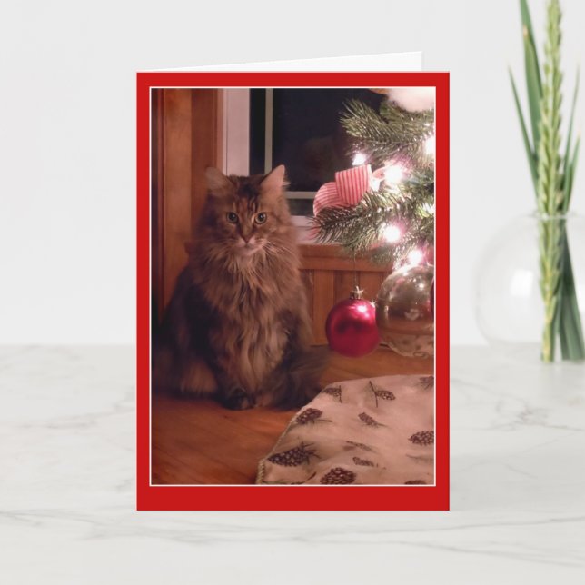 Kort för katt- och julgranprydnadhälsning (Framsida)