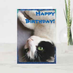 Kort för kattfotograttis på födelsedagen