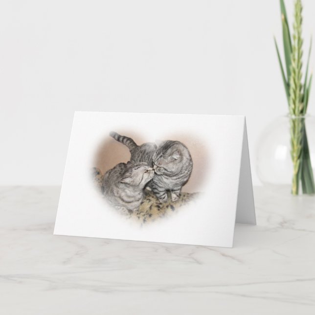 Kort för kattkärlekhälsning (Framsida)
