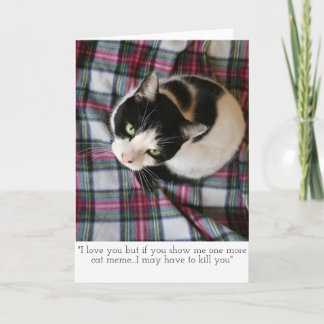 Kort för kattMeme hälsningar