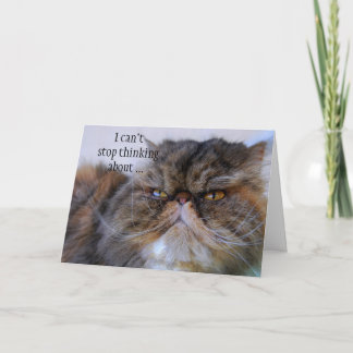 Kort för kattunge för stolt Calico för tack